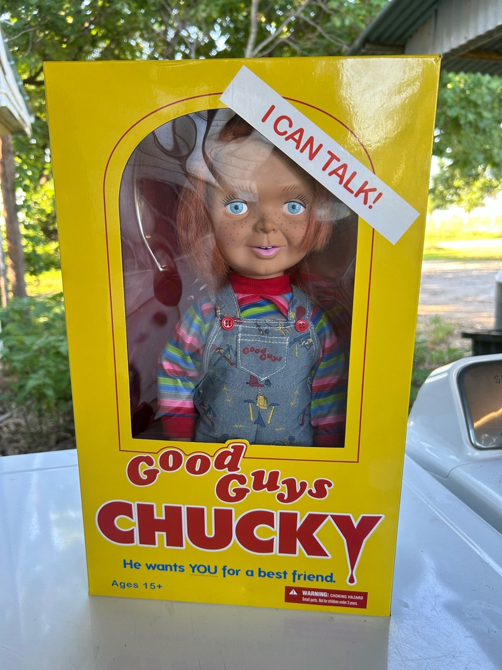 Chucky Talking Doll - Original Box - Collectible